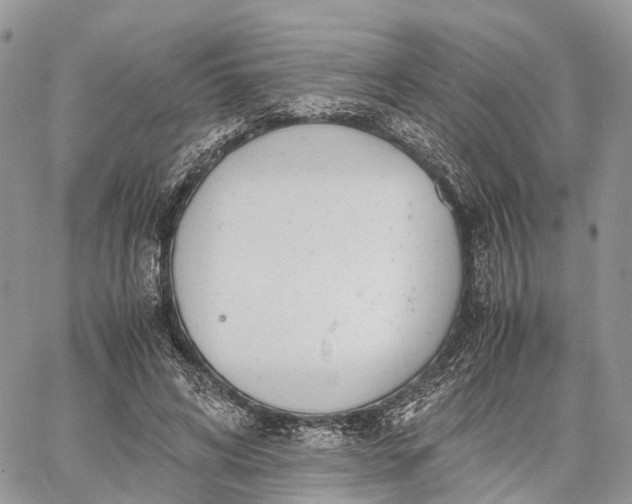 X0000062670592200601041012