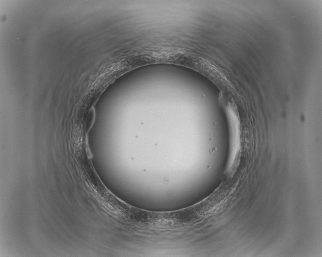 X0000062670593200601041012