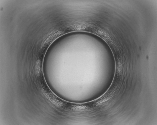 X0000062670594200601041012