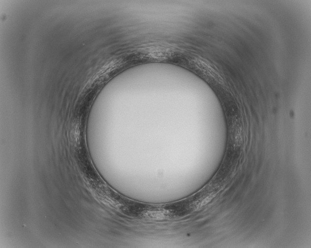 X0000062670595200601041011