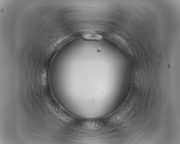 X0000062670596200601041011