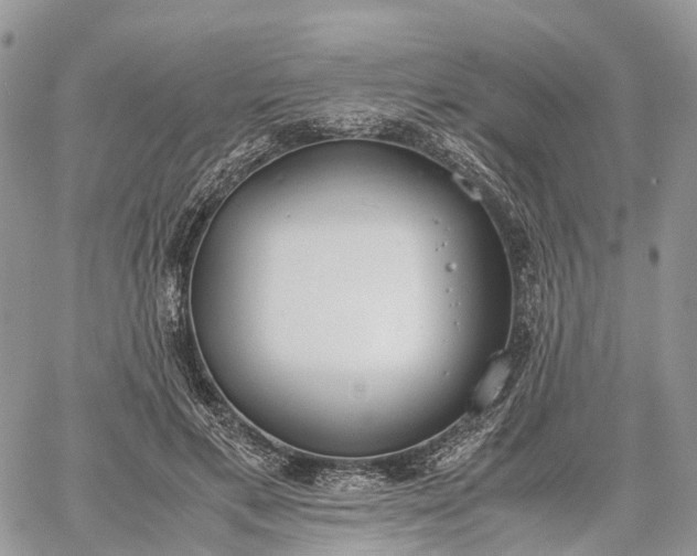 X0000062670597200601041011