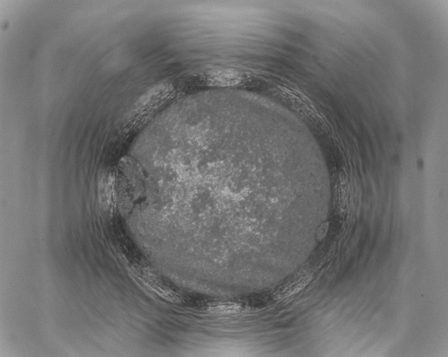 X0000062670598200601041011