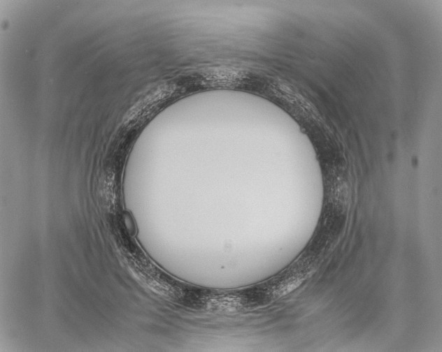 X0000062670599200601041011