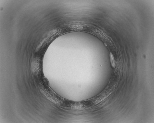 X0000062670600200601041011