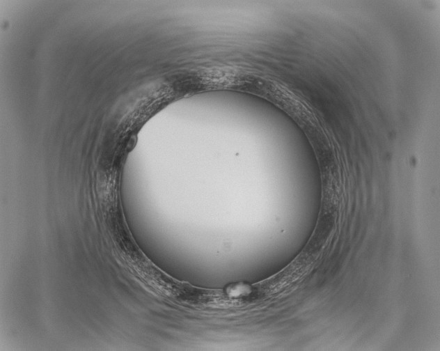 X0000062670601200601041011