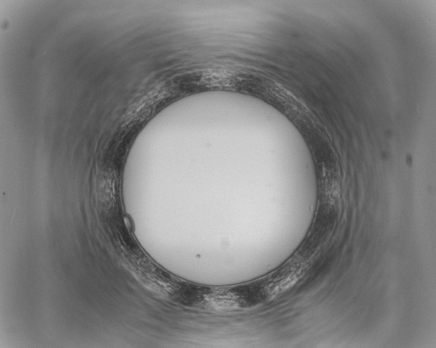 X0000062670603200601041011