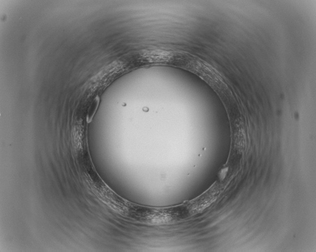 X0000062670604200601041011