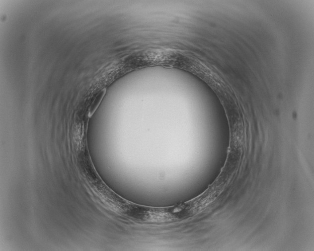 X0000062670605200601041011