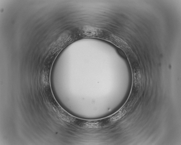 X0000062670606200601041011