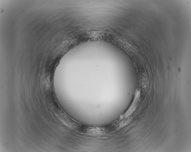 X0000062670611200601041011