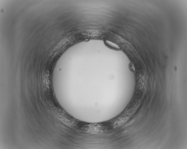 X0000062670612200601041011