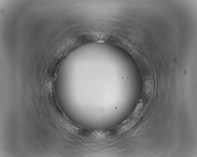 X0000062670613200601041011