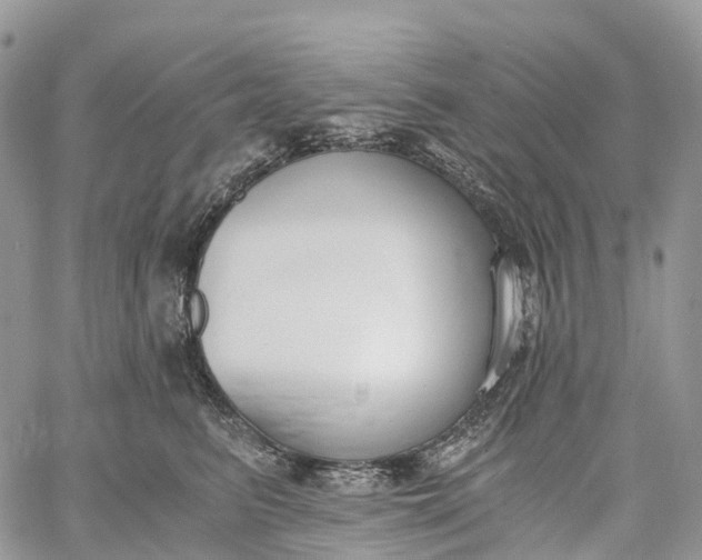 X0000062670615200601041011