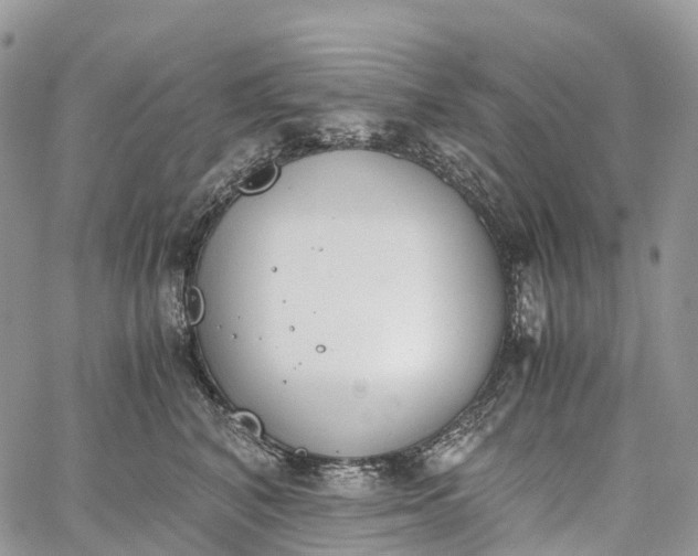 X0000062670616200601041011