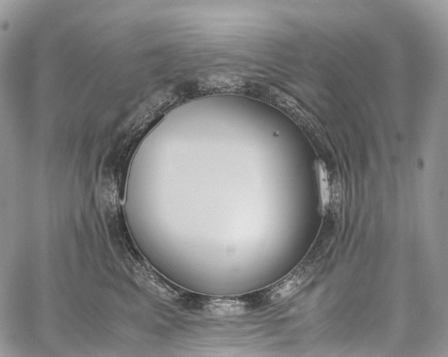 X0000062670617200601041011