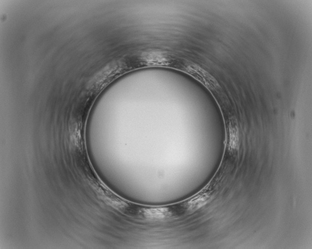 X0000062670618200601041011