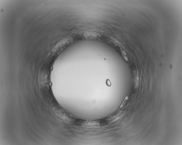 X0000062670619200601041011