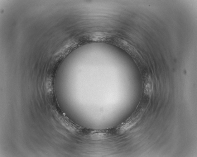 X0000062670620200601041011