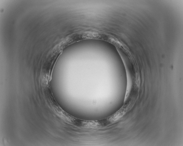 X0000062670621200601041011