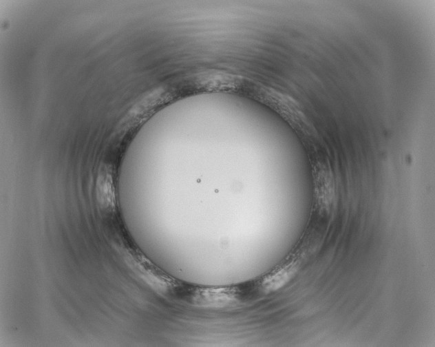 X0000062670622200601041011