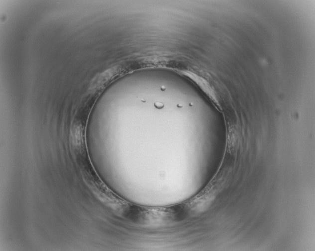 X0000062670623200601041011