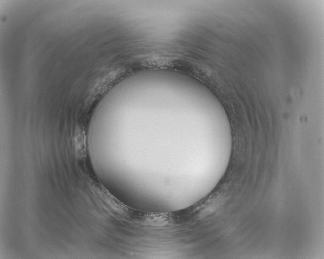 X0000062670624200601041011