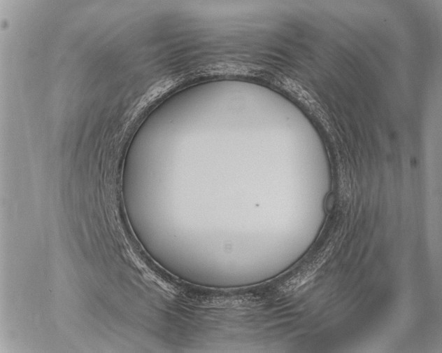 X0000062670625200601041010