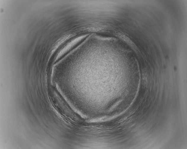 X0000062670626200601041010