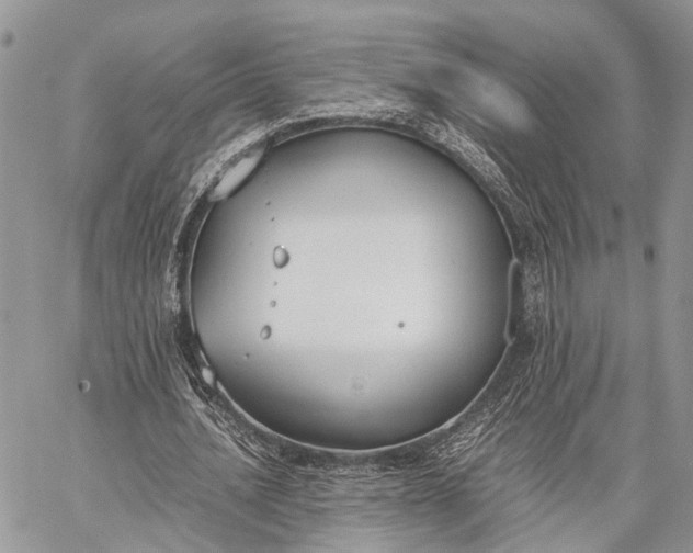 X0000062670628200601041010