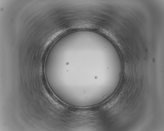 X0000062670629200601041010