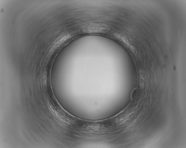 X0000062670631200601041010