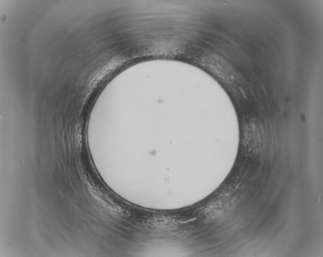 X0000062670632200601041010