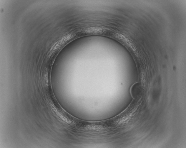 X0000062670633200601041010