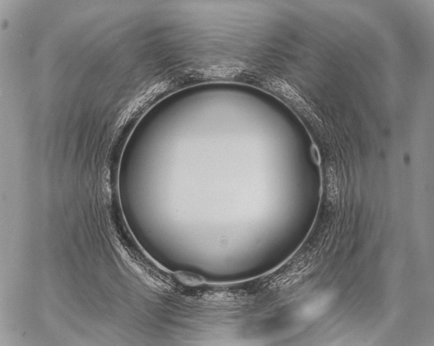 X0000062670634200601041010