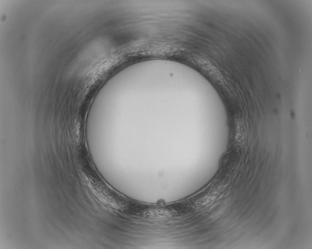 X0000062670636200601041010