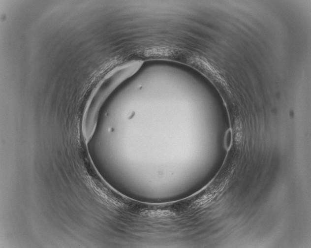 X0000062670637200601041010