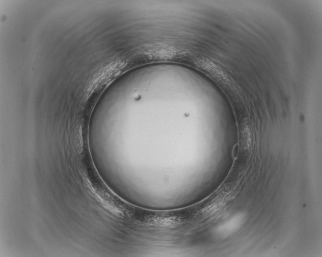 X0000062670638200601041010