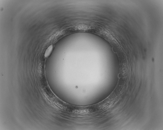 X0000062670639200601041010