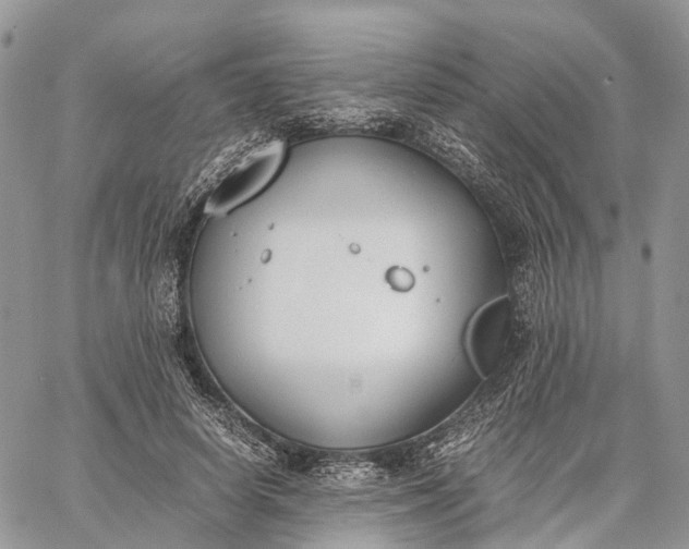 X0000062670642200601041010