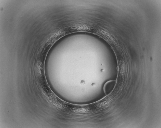 X0000062670643200601041011