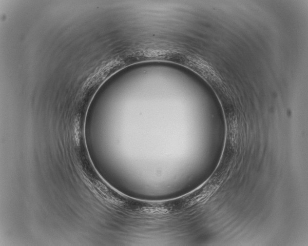 X0000062670644200601041011