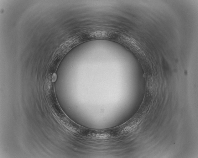 X0000062670645200601041011