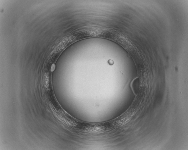 X0000062670646200601041011