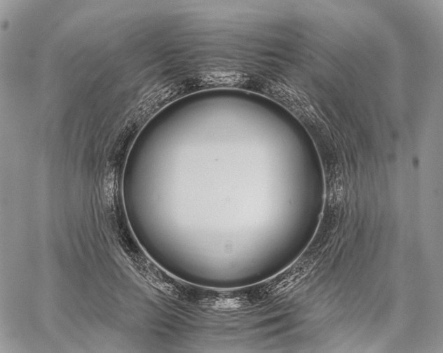 X0000062670647200601041011