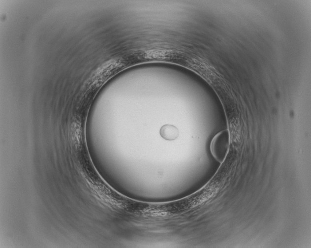 X0000062670648200601041011