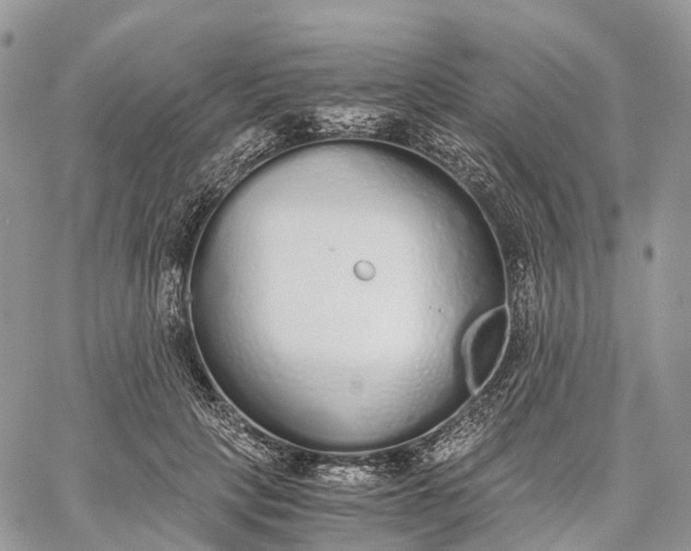 X0000062670649200601041011