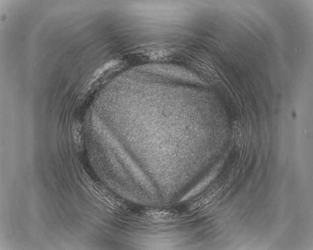 X0000062670650200601041011