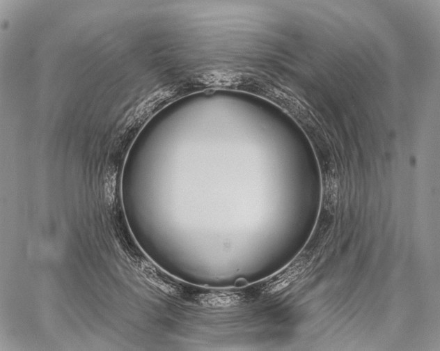 X0000062670652200601041011