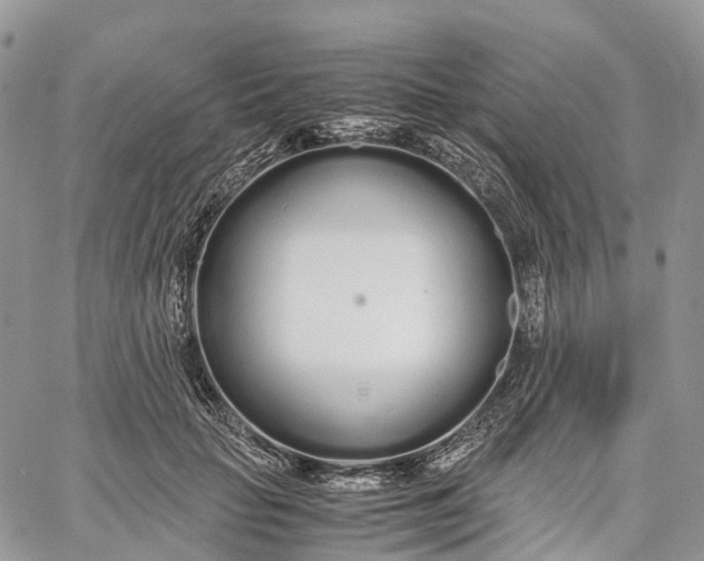 X0000062670653200601041011